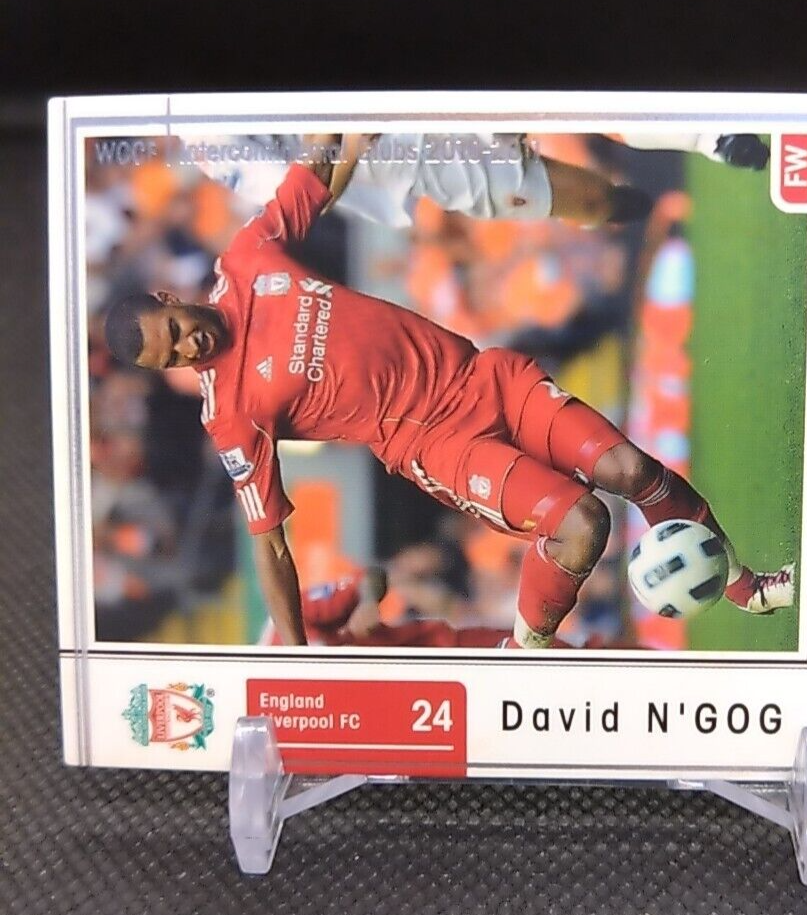 David N'GOG No.079 WCCF Football Soccer card Japan Sports Card