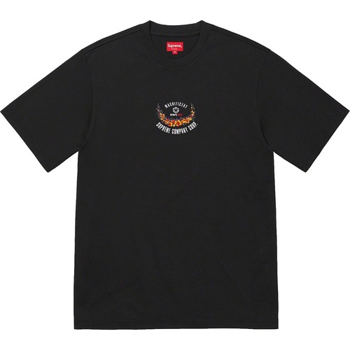 Size Large - Supreme FW25 Dust Tee Ash Grey Graphic Dog Logo NEW