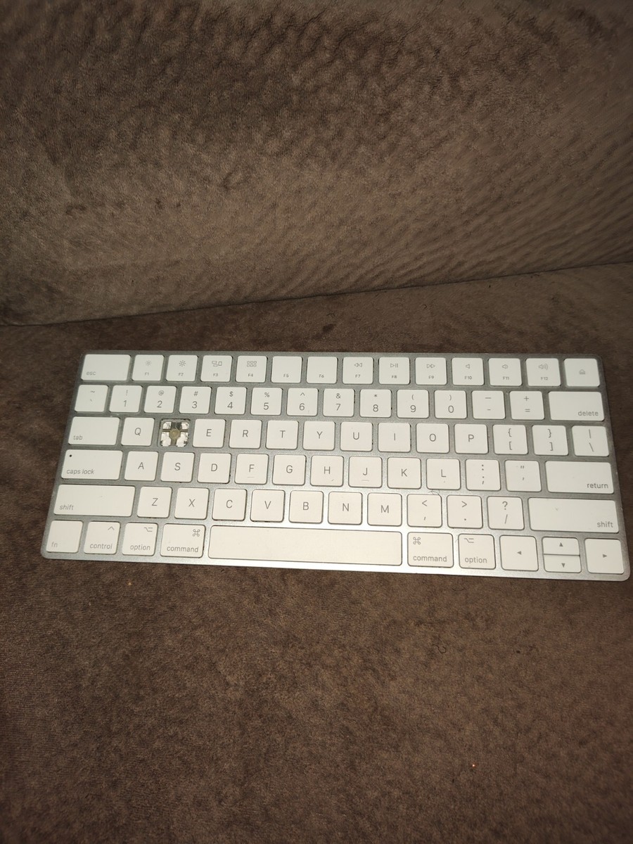 Apple A1644 Magic Keyboard (White/Silver) | eBay
