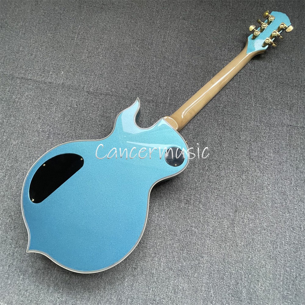 ハウバー ブラインド ブレイル ギター ハウバー ブラインド ブレイル