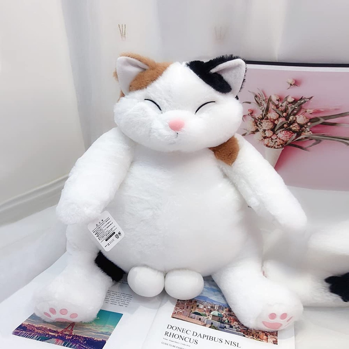 ACME FURNITURE】花井氏STUFFED CAT with BOX ACME FURNITURE】花井氏