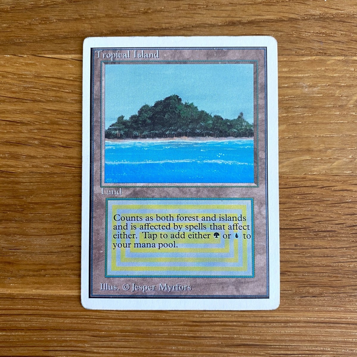 マジック：ザ・ギャザリング mtg Tropical 2ed hp マジック：ザ