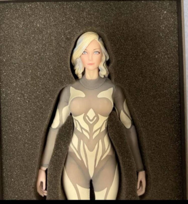 素体 COREPLAY コアプレイ 1/6 Fitness Body 2体セット Coreplay