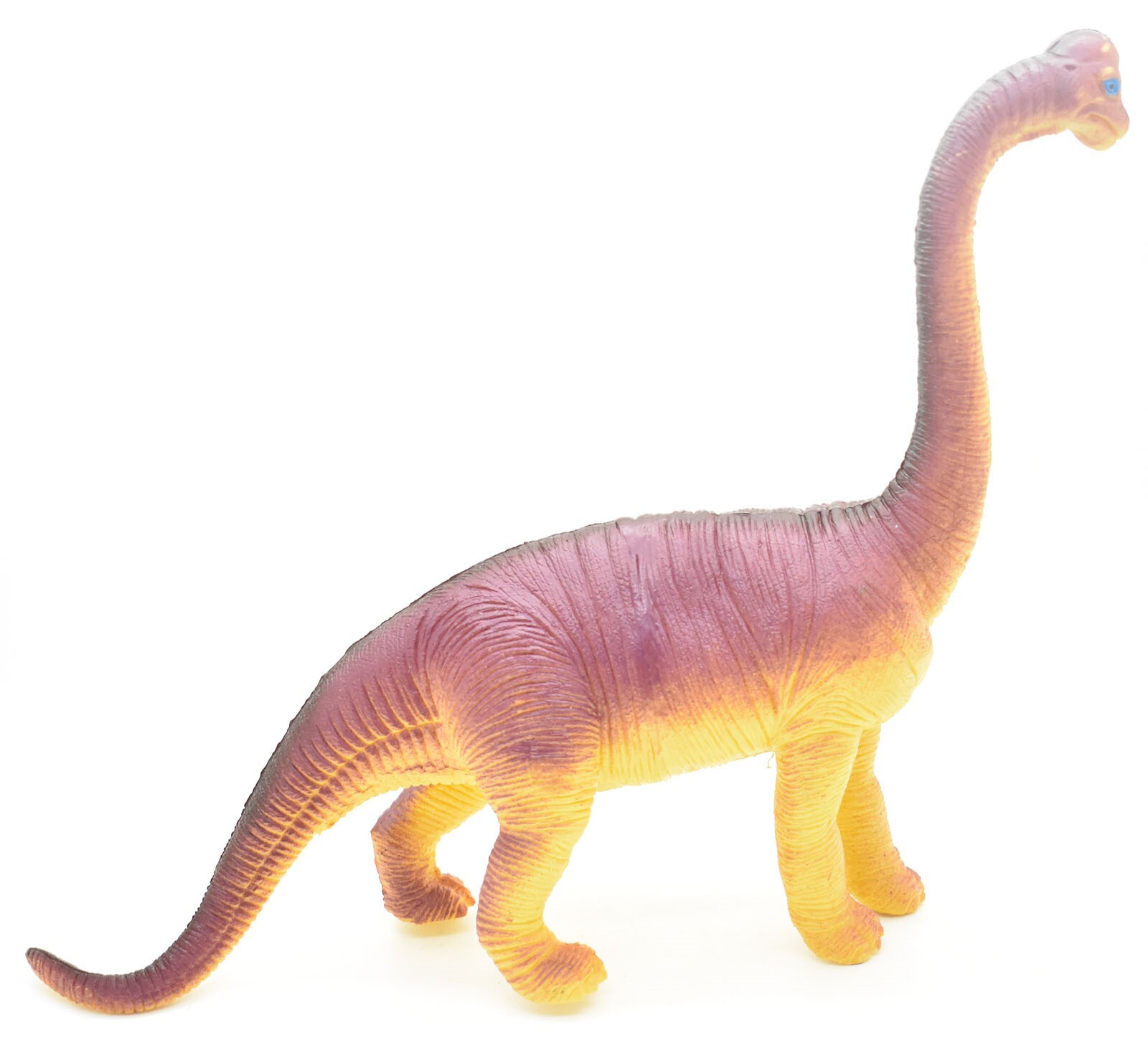 Brachiosaurus 11