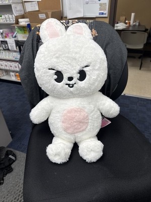 テディベア ぬいぐるみ teddybear SKZOOリービット Leebit Stray Kids