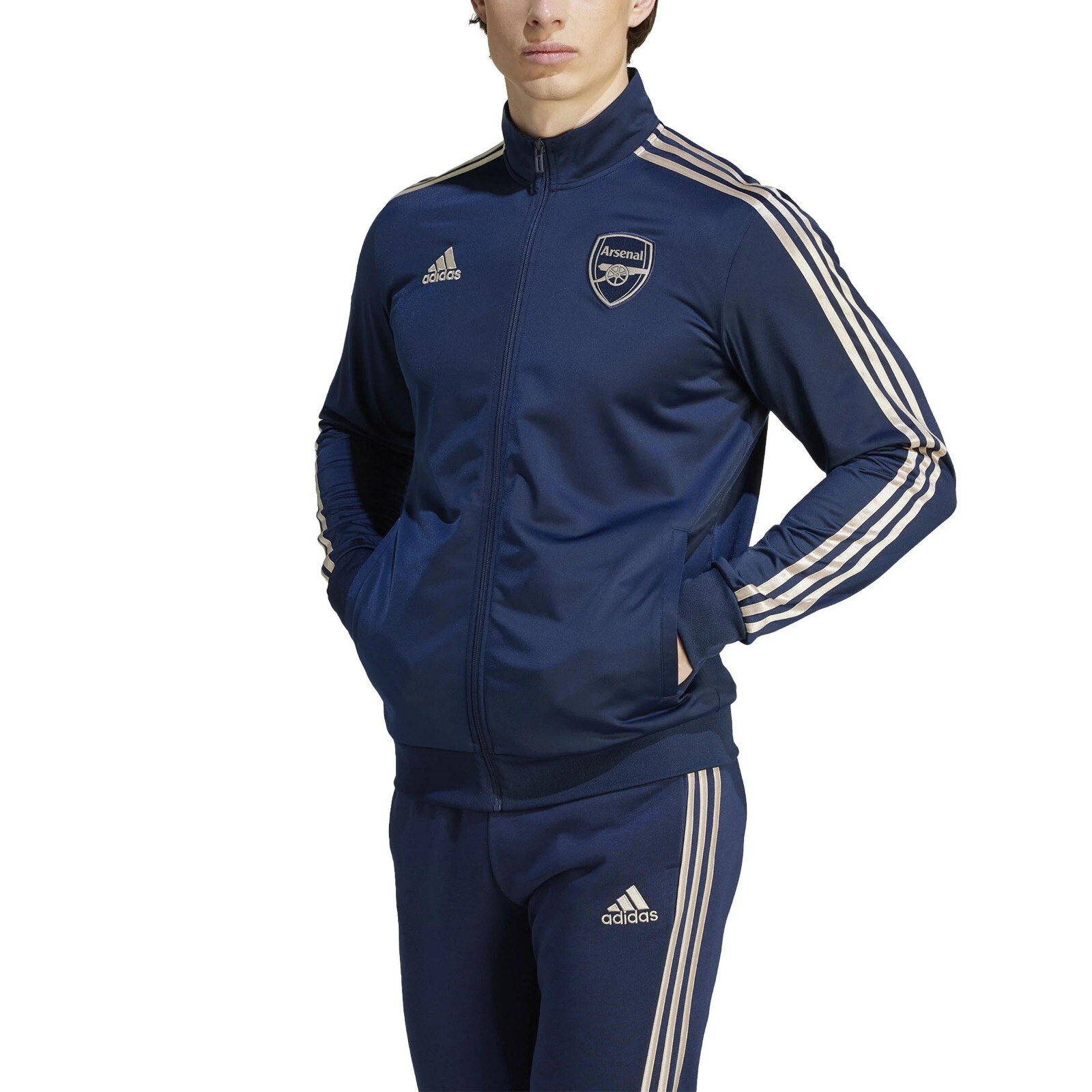 $_57.JPG?set_id=880000500F