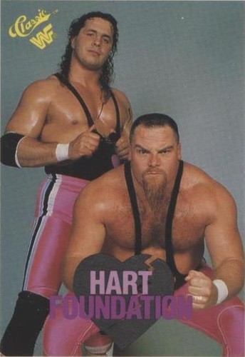 アメコミ HART FOUNDATION アメコミ HART FOUNDATION The Hart