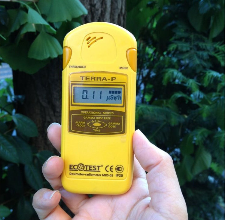 Ecotest MKS 05 Terra P Radiation Detector Geiger Counter for sale