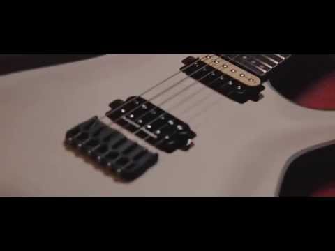 AXL Guitars PBモデル レリック PUセイモアダンカン Alex Skolnick