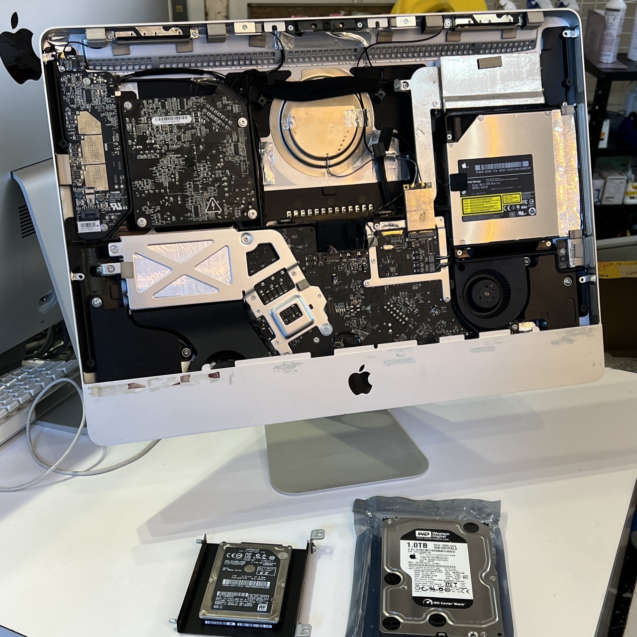 IMG_2363.jpg?fit=1200,1200&ssl=1