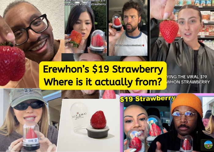 Erewhon's Viral $19 Strawberry : Tracing Elly Amai's Source