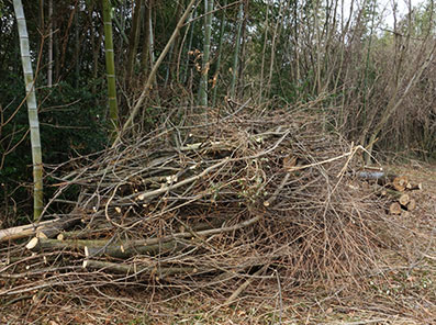センダンの薪・鳥坂まんじゅう | 囲炉裏暖炉のある家 tortoise＋lotus