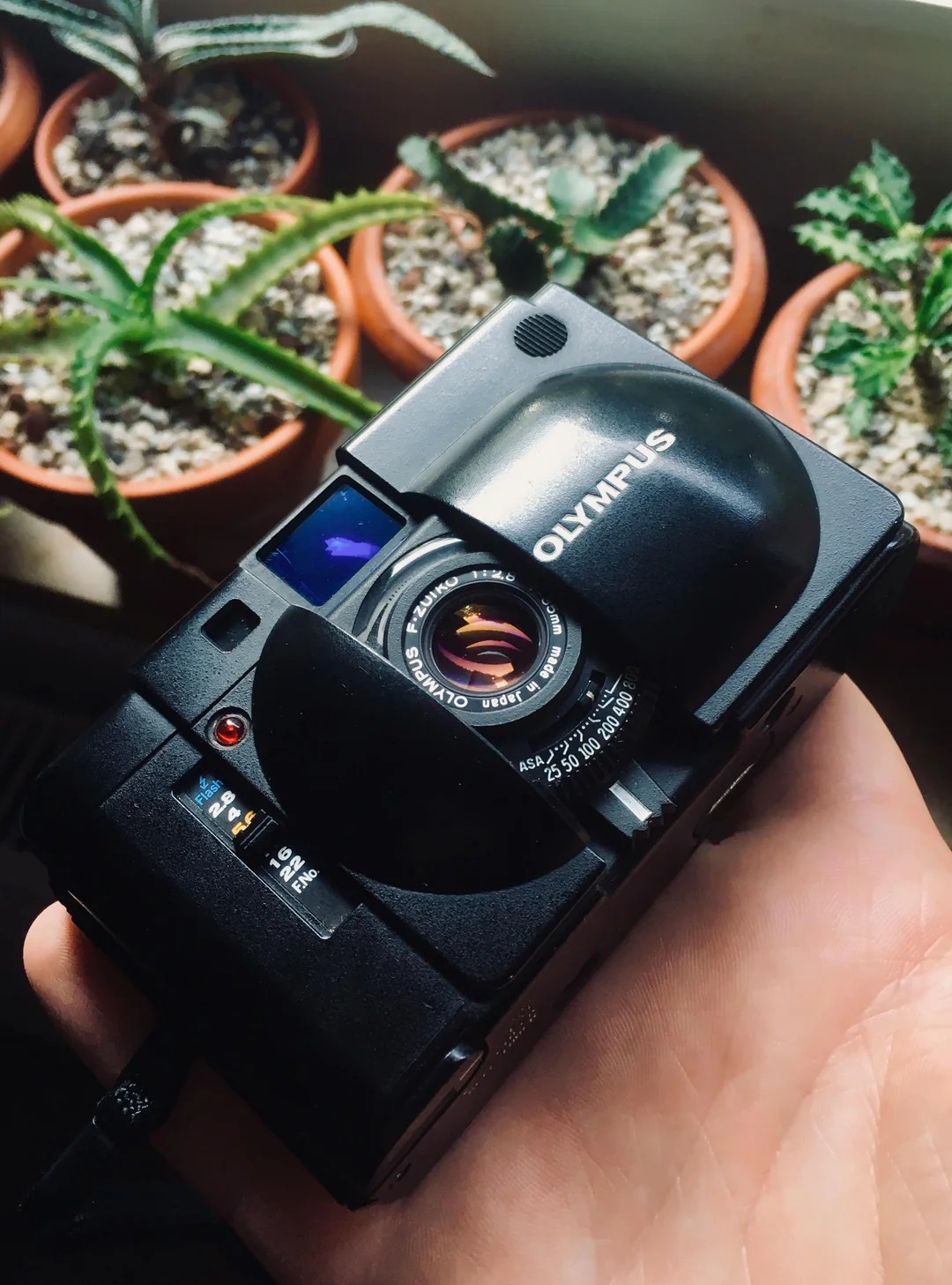 Olympus XA: The Cult Film Camera Still Worth It? - PhotoCo Camera