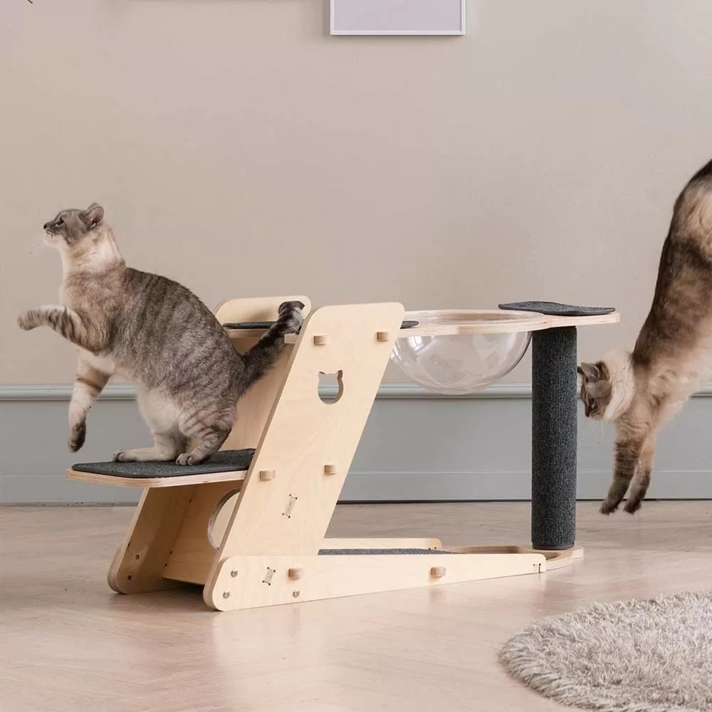 ❤仔猫もシニア猫も遊べる＆ゆったり寛げると大人気♪❤お洒落キャット