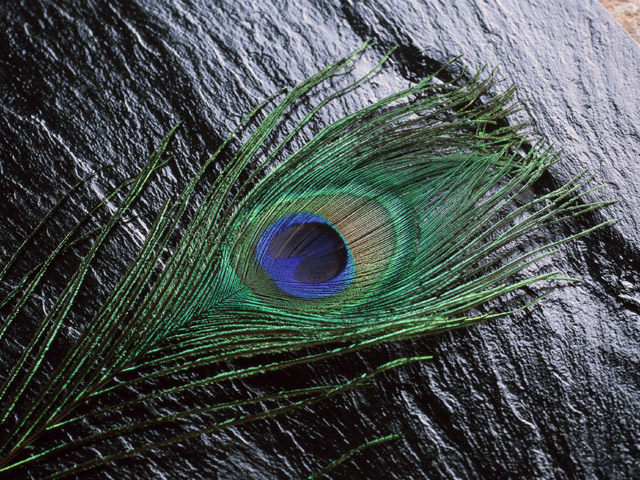 孔雀緑（くじゃくりょく：ピーコックグリーン）〜美しき色名の世界vol