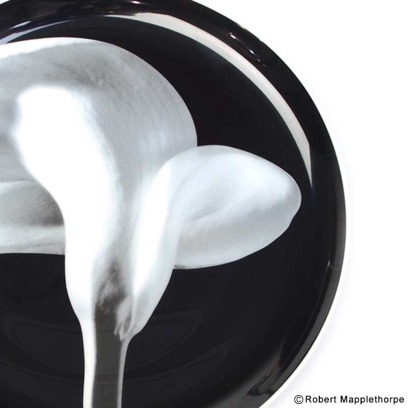 20190828_1.jpg?fit=800,800&ssl=1