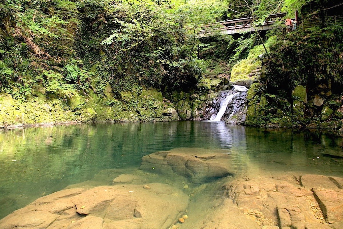 ME015701.jpg?fit=1200,800&ssl=1