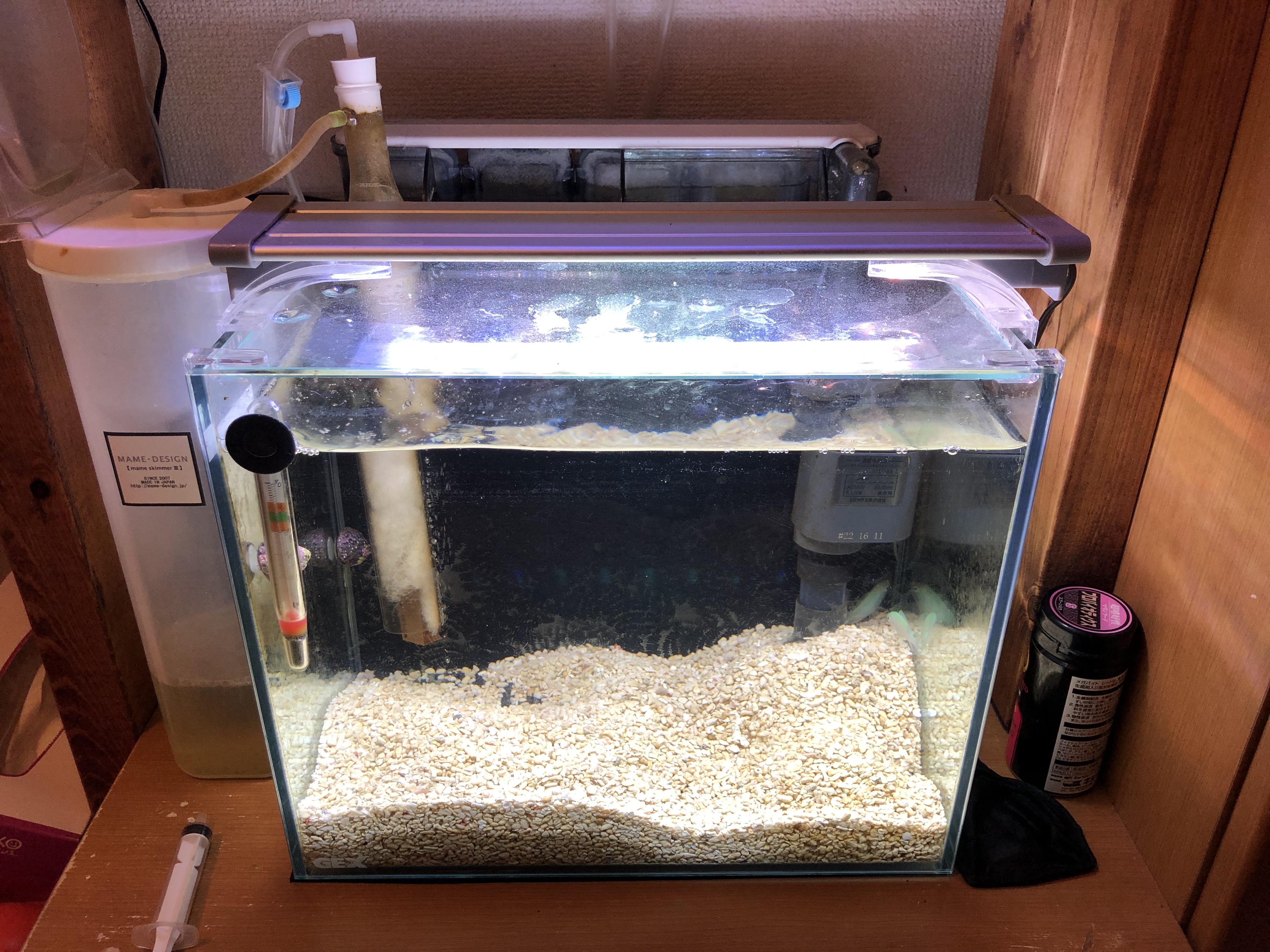 特注 底面ろ過 底面濾過フィルター 海水魚 飼育 水槽別売 60cm水槽専用