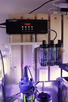 製品レビュー：GroTech ﾄﾞｰシングポンプ TEC III NG ｜ 小さな動物園