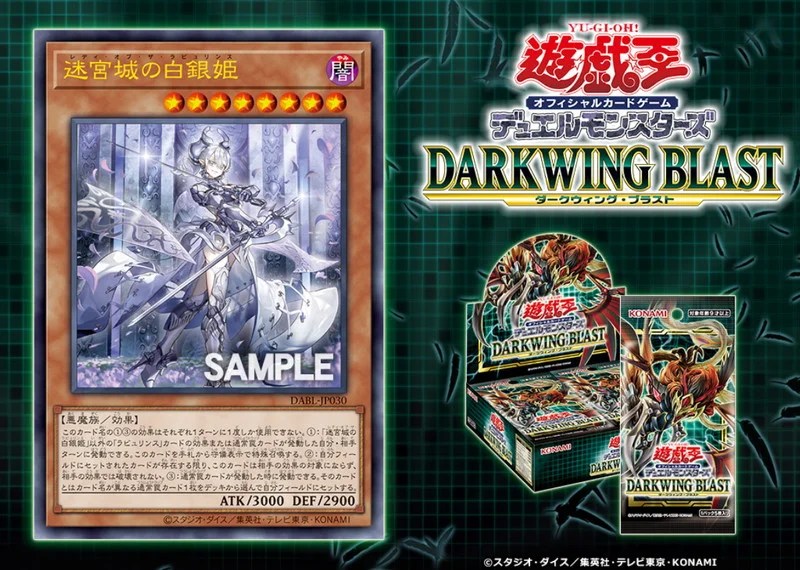 迷宮城の白銀姫 レディ・オブ・ザ・ラビュリンス イラスト違い 25th