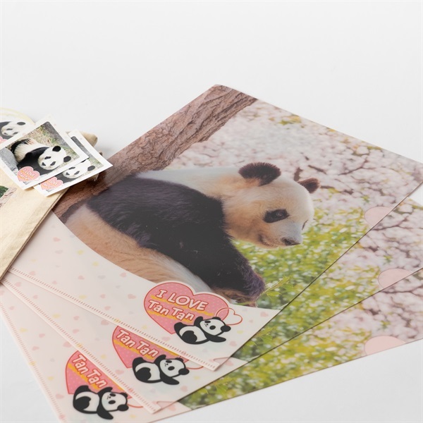 売約済 王子動物園 タンタン クリアファイル & ありがとうタンタン