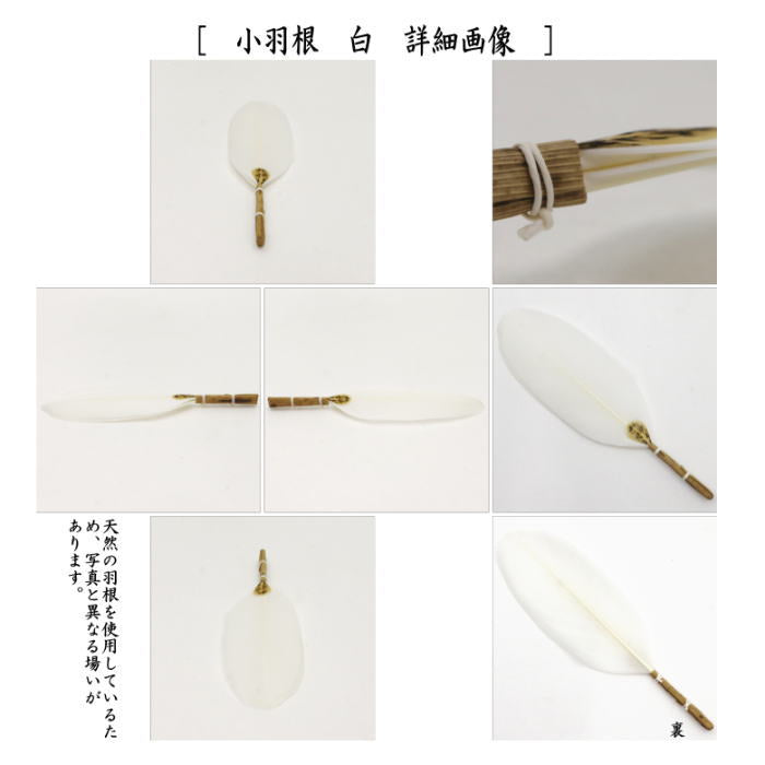 茶器/茶道具 茶箱点前道具】 茶箱点前4点セット 女桑 （器据 女桑