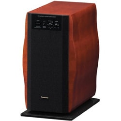 ヨドバシ.com - パナソニック Panasonic SB-WA800-M [アクティブサブ