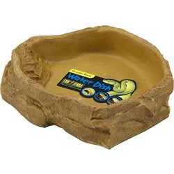 ヨドバシ.com - GEX ジェックス PT2804 [ウォータディッシュ XLサイズ