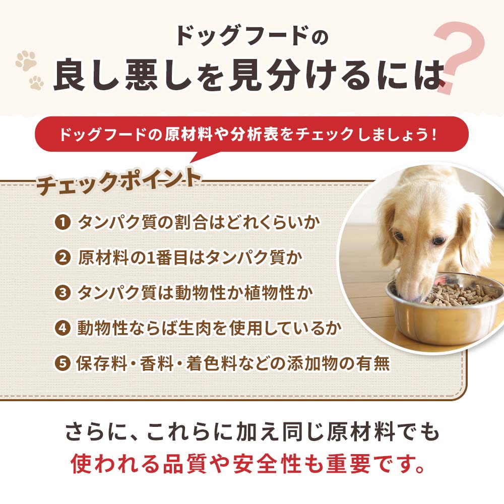 DOG STANCE 鹿肉 ウェット｜ドッグフード｜健康通販｜イマココ・ストア