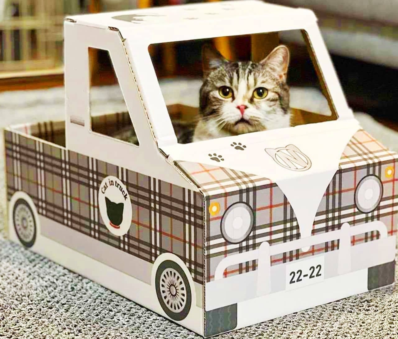 本杉琉 ダンボールアート 猫 2個セット ダンボールねこハウス