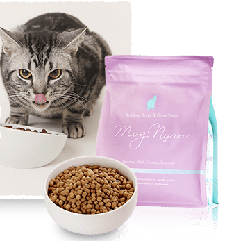 モグニャンキャットフードはおすすめ？成分や安全性、口コミ・評判とは