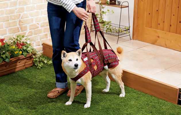 アシスタントバンドリフト(歩行補助ハーネス）｜ ペット用品の通販