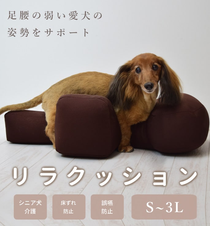 楽天市場】【愛犬用ベッド】 リラクッション DM ブラウン【立位保定