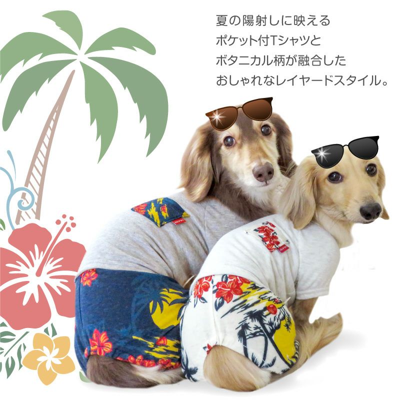 楽天市場】犬 服 レイヤード風 ボタニカル パンツ つなぎ ダックス
