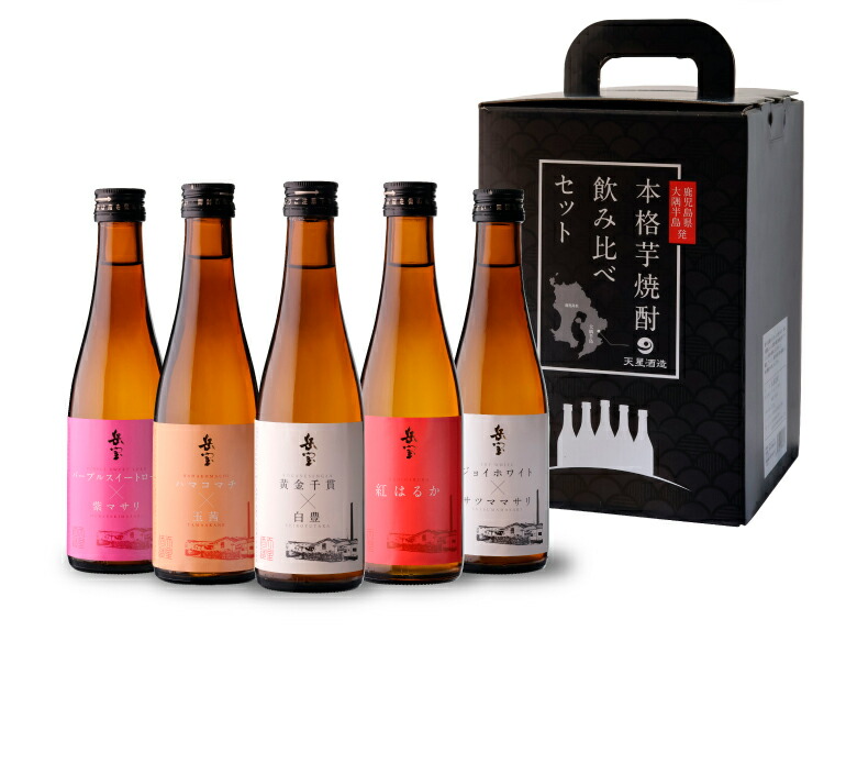 焼酎 芋焼酎 岳宝 飲み比べセット 300ml 5本 セット 鹿児島県 天星酒造