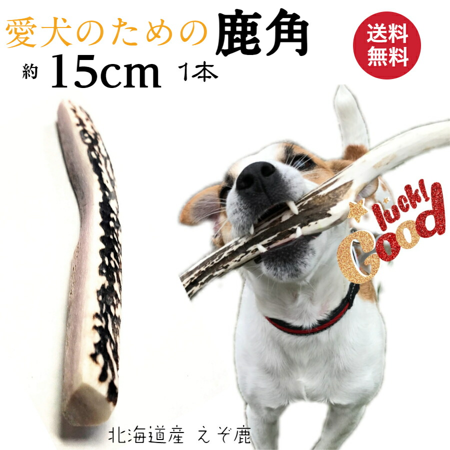 鹿の角 (特大～大サイズ)犬用おもちゃ ランダム 2kg およそ4本～8本 鹿