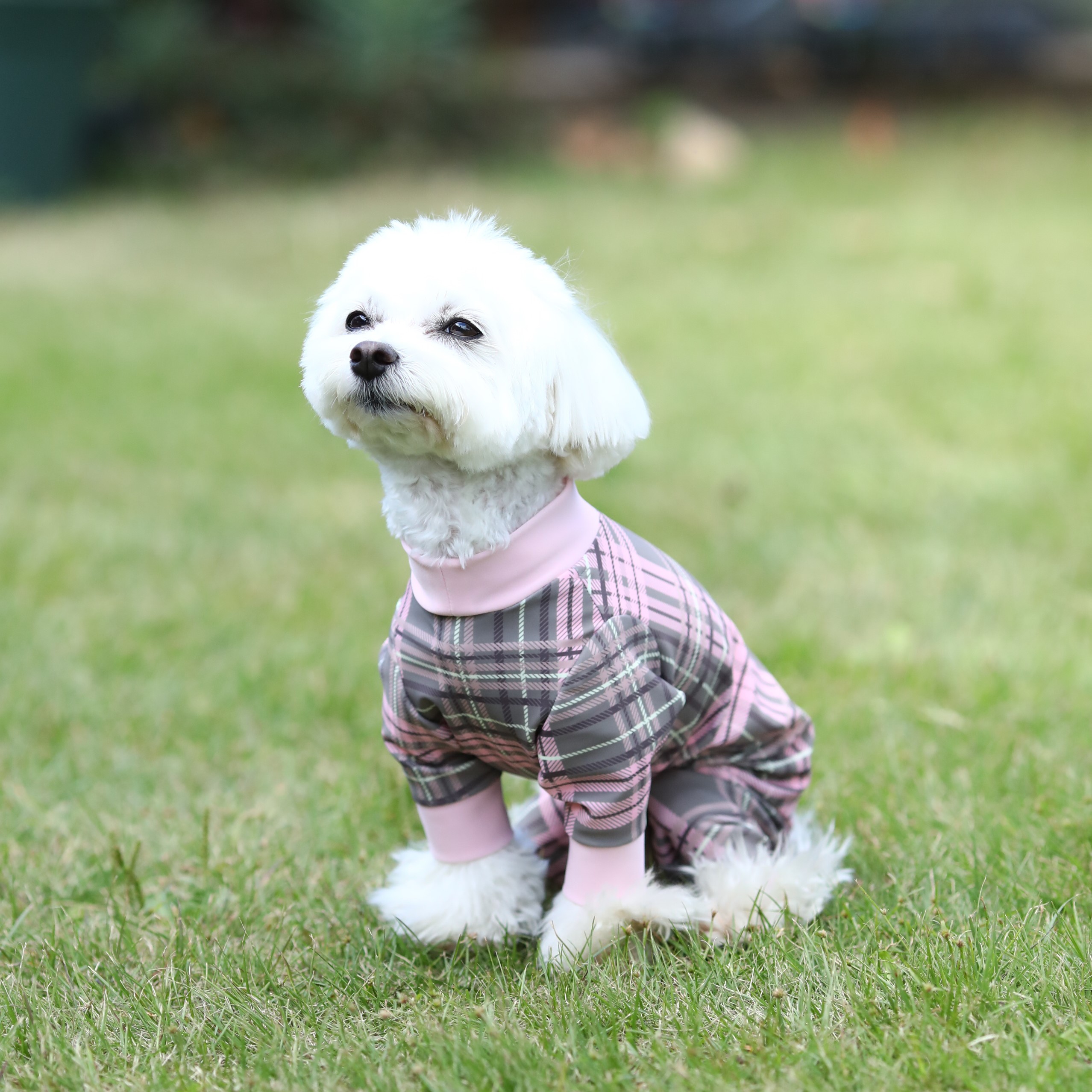 楽天市場】【レビュー投稿で200円クーポン】 犬服 接触冷感 ロンパース