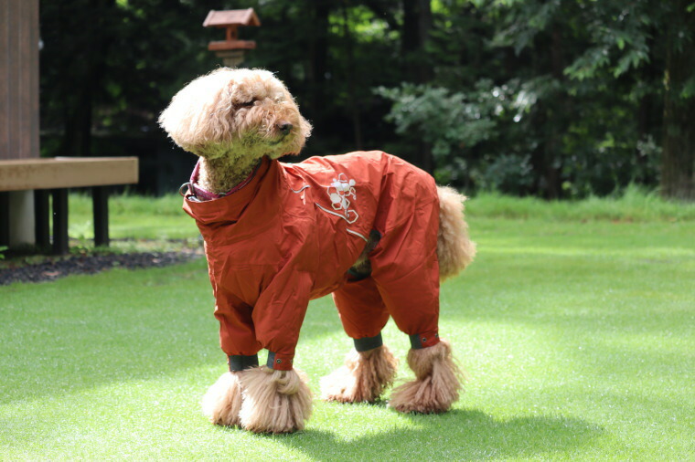 楽天市場】【Hurtta】【フルッタ】・ドッグレインコート 「MudVenture