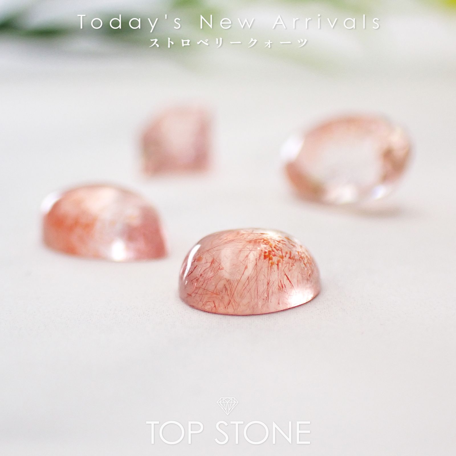 ズーンとくる！ストロベリークオーツたんとピンクタイガーアイたん