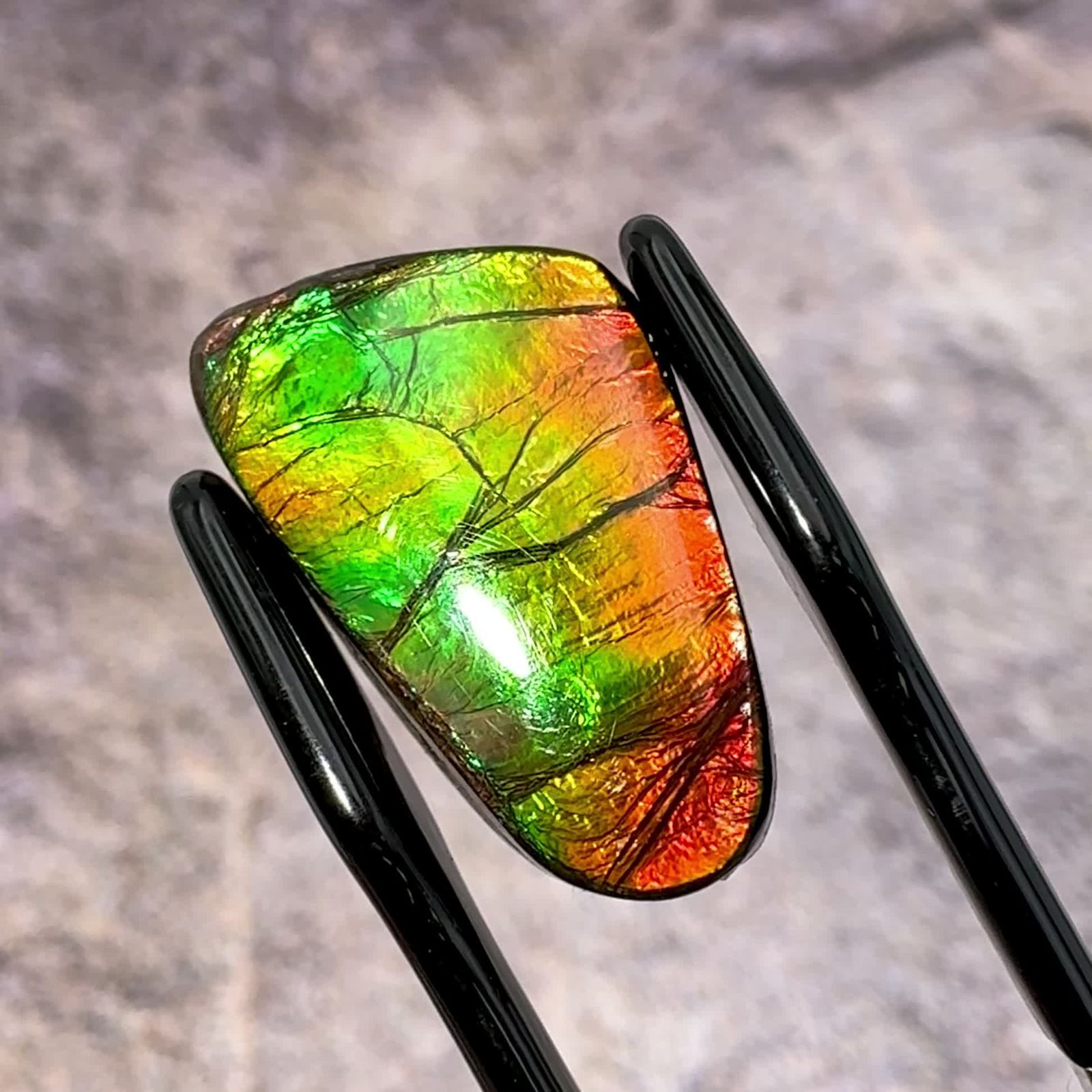 虹色星形 アンモライト インペリアルレインボー アンモライト 【公式通販】