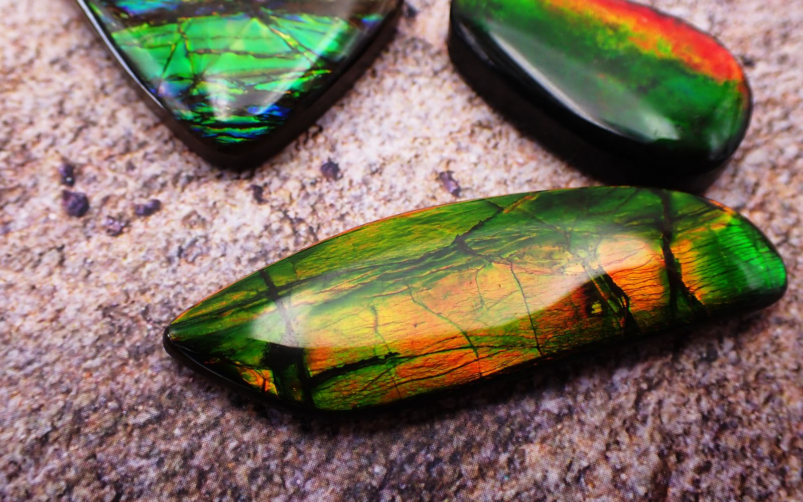 アンモライト ルース 化石 宝石 アラゴナイト