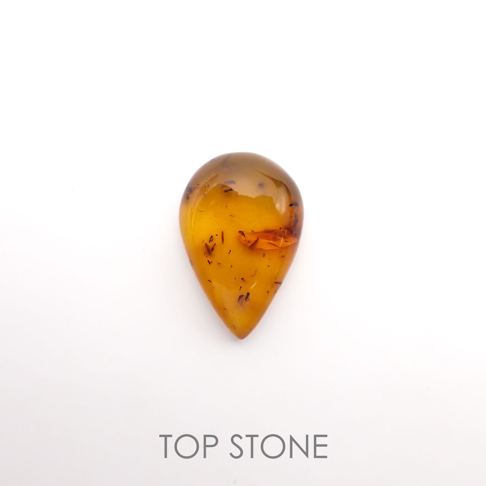 アンバー 琥珀 カメムシ 昆虫 コレクション 天然石 虫入り 価値上がる