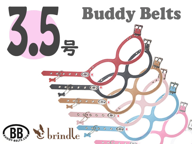 3.5号サイズ BUDDY BELTS バディーベルト バディベルト ハーネス | brindle