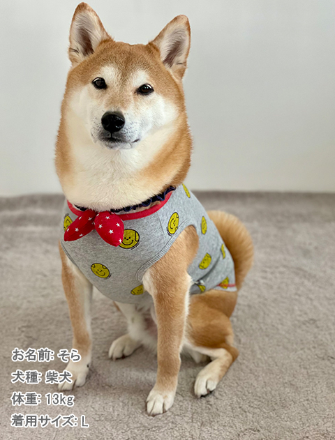 犬服 3S わんこの普段着 オレンジとペールブルーの花 犬服 3S わんこの