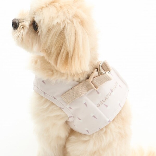 gelato pique モチーフ柄ハーネス/ベージュ Pets-first ONLINESTORE