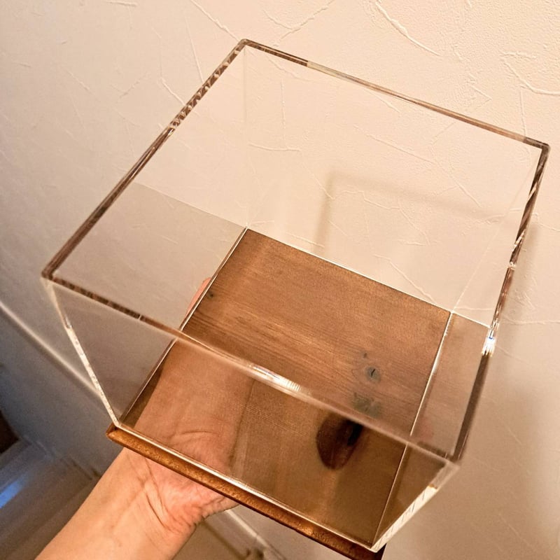 大型標本展示用ショーケース】150×150×160 ※アクリル製ケース、無垢材