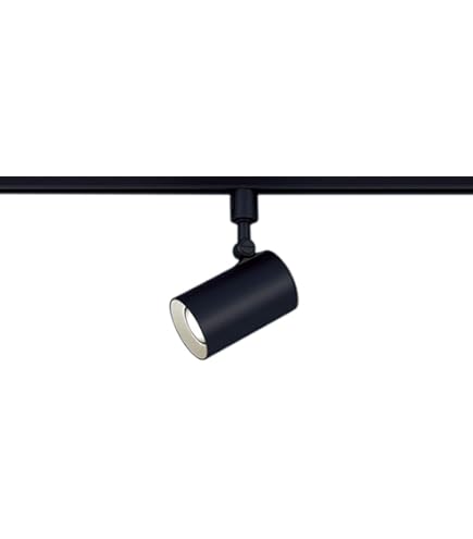 Amazon.co.jp: パナソニック(Panasonic) スポットライト LSEB6119KLE1