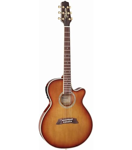 Amazon | Takamine PTU121C GBB エレアコギター 100シリーズ (タカミネ