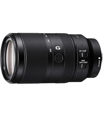 Amazon.co.jp: SONY 135mm F2.8 [T4.5] STF SAL135F28 : 家電＆カメラ