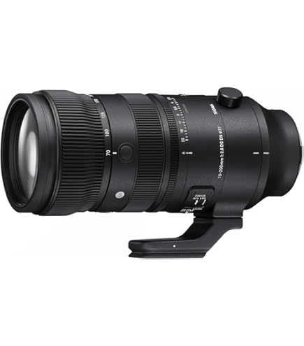 ◤ ニコン用 大三元ズーム TAMRON AF 70-200mm F2.8 Di Amazon.com